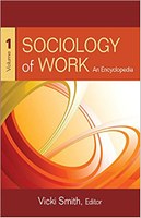  Sociology of Work book